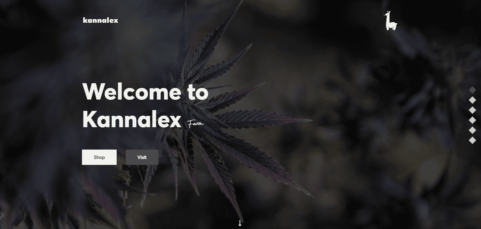 Kannalex desktop preview