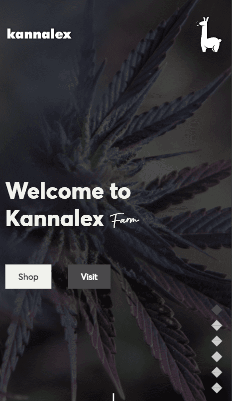 Kannalex-mobile